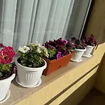 апартамен за гости панови Apartment *
