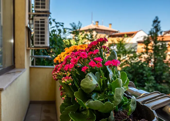 апартамен за гости панови Διαμέρισμα Φιλιππούπολη