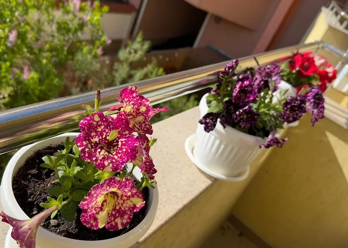 апартамен за гости панови * Φιλιππούπολη