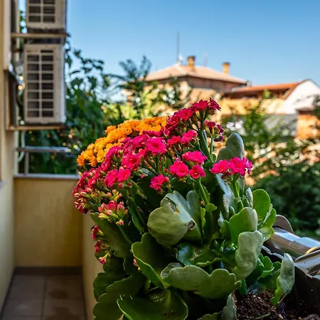 апартамен за гости панови Διαμέρισμα Φιλιππούπολη