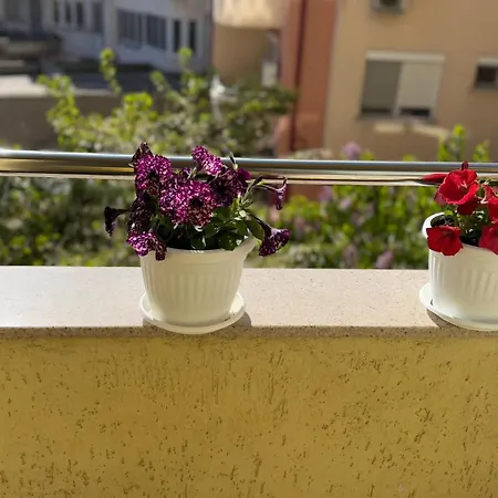 апартамен за гости панови Plovdiv