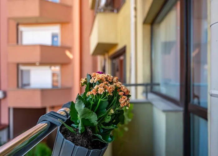 апартамен за гости панови アパート