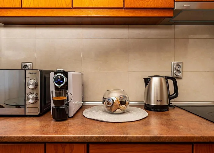 公寓 апартамен за гости панови