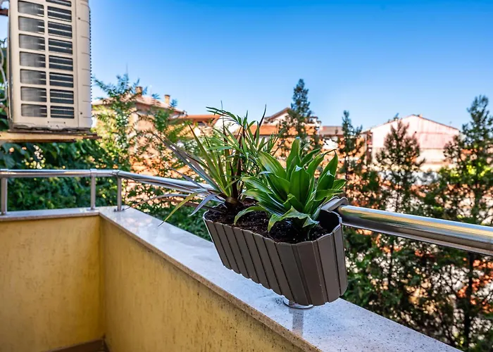 апартамен за гости панови