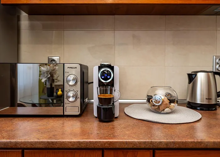 апартамен за гости панови アパート プロヴディフ