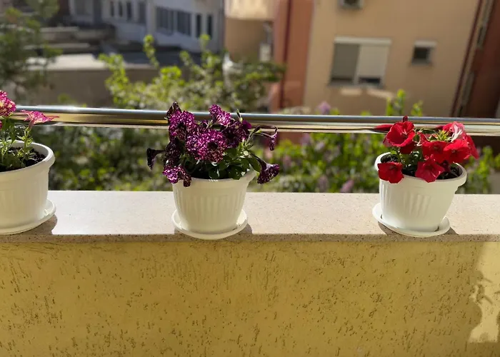 апартамен за гости панови 普罗夫迪夫