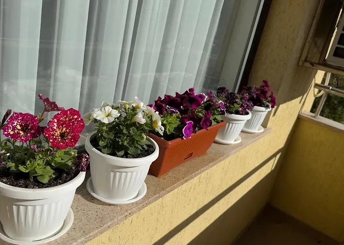 апартамен за гости панови アパート *