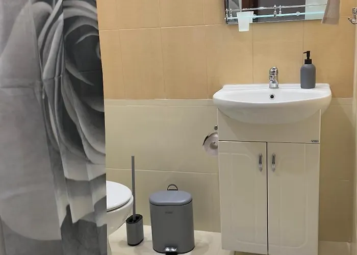 апартамен за гости панови * 普罗夫迪夫